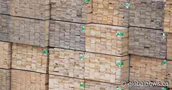 Demand for Saskatchewan forest products surges in 2020 - Global News