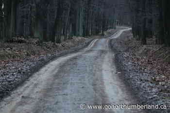 Northumberland County Forest's motorized trails will open as of May 15th - 93.3 myFM