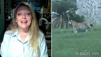Carole Baskin says missing Houston tiger has 'no fear of humans'