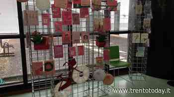 Ala si tinge di rosa per il Giro d'Italia - Trento Today