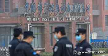 Calls to investigate origins of COVID-19 grow louder     - CNET