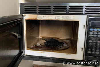 Kamloops Fire Rescue wants to remind you that microwaves can cause fires - Kamloops News - Castanet.net