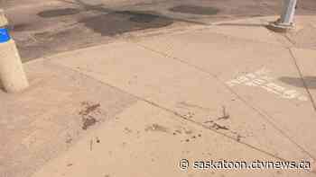 Saskatoon city workers attacked with skateboard while doing road repair