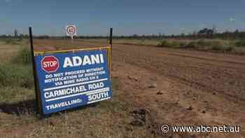 Adani contractor left asking government for finance after insurers flee