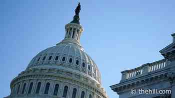 Head of House Office of Diversity and Inclusion urges more staff diversity