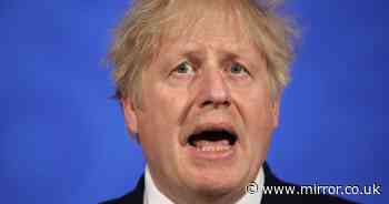 'Boris Johnson times Covid-19 inquiry so he'll be re-elected when it comes out'