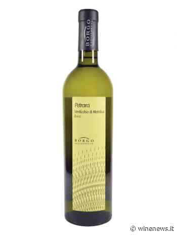 Borgo Paglianetto, Doc Verdicchio di Matelica Petrara 2019 - WineNews