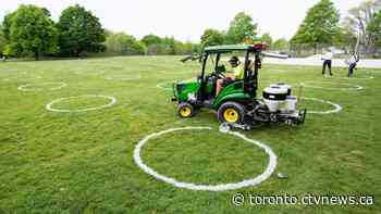 The physical distancing circles are back at Trinity Bellwoods Park in Toronto