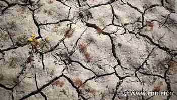 The entire state of California is now in drought, just kindling waiting for an ignition