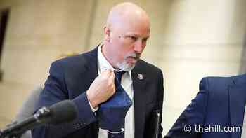 Roy to challenge Stefanik for Cheney's old position