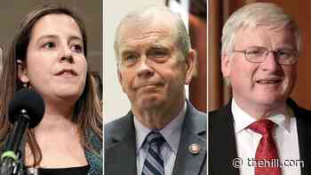 Stefanik shake-up jump-starts early jockeying for committee posts