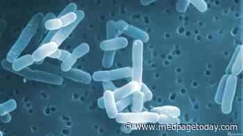 Probiotic Add-On Eased GI Symptoms of H. Pylori
