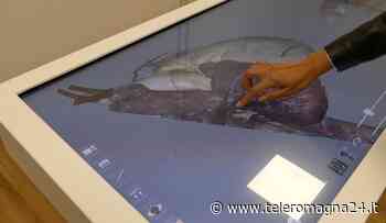 FORLI': Presentati i laboratori didattici del Corso di Laurea in Medicina e Chirurgia | VIDEO - Teleromagna24