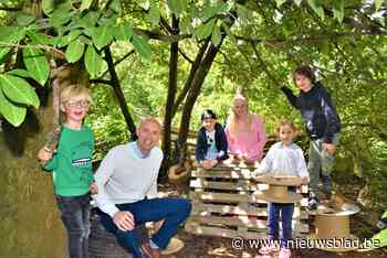 Hier kunnen kinderen kampen bouwen om 'coronaverveling' tege... (Deerlijk) - Het Nieuwsblad