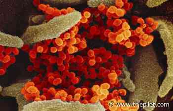 Moore County Records 190th Coronavirus Death | Coronavirus News | thepilot.com - Southern Pines Pilot