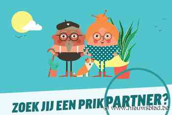 Eerstelijnszone Pallieterland zoekt prikpartners