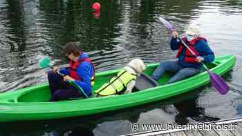 Entre Arras et Douai, les chiens font aussi du canoë et du paddle (vidéo) - L'Avenir de l'Artois