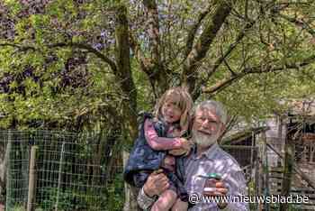 Pruimensoort ‘Lebbeekse Blaakes’ van verdwijning gered: “Ons motto: ‘Ga en vermeningvuldig u’”