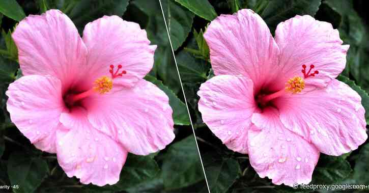 Darkroom photo editing app adds powerful ‘Clarity’ feature to adjust the details of your images