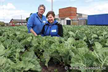 Klanten stemmen Recht van ’t Veld tot boegbeeld van korteketenverkoop