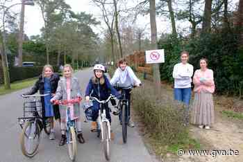 Buslijn 730 verdwijnt, Brasschaat wil samenwerken met Ekeren voor 'buurtbus' - Gazet van Antwerpen