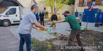 Vaux-sur-Seine - La distribution de fleurs fait un carton | La Gazette en Yvelines - La Gazette en Yvelines