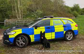 Police dog chases four suspects through Blackburn before officers detain them in a garden