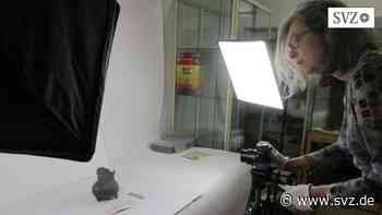 Kulturmühle in Parchim: Museum steckt bereits mitten in der heißen Umzugsphase | svz.de - svz – Schweriner Volkszeitung