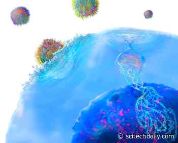 New Immunotherapy “Highly Effective” Against Hepatitis B Virus