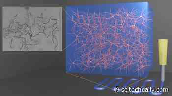 Researchers Develop 3D-Printed Jelly for Biomedical Materials and Soft Robotics