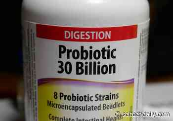 Probiotic Supplement Use Associated With Fewer Respiratory Symptoms in Overweight and Older People