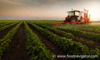 Extreme weather 'harming' UK food production but adaption efforts slow in coming - FoodNavigator.com