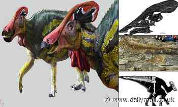 Fossils: 'Talkative' dinosaur emitted 'strong sounds' to scare away predators and attract mates