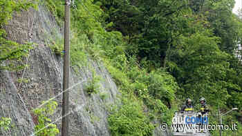 Tronco cade in via per San Fermo - QuiComo