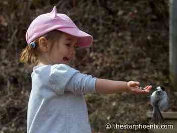 See wildlife at Beaver Creek: Five things to do in Saskatoon this weekend