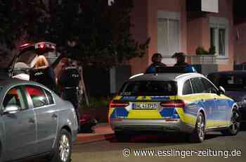 SEK-Einsatz in Reichenbach an der Fils: Mann bedroht Polizisten mit Messer - esslinger-zeitung.de