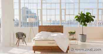 Best organic mattress 2021     - CNET