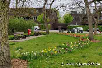 Groendienst plant bloemen