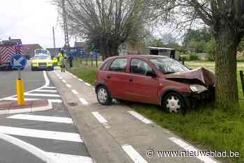 Bestuurder gewond na botsing tegen boom