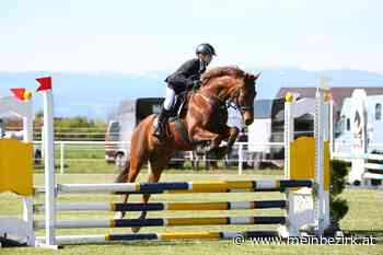 Reitsport: Puchbergerin punktete mit elf Jahren bei Landesmeisterschaften - meinbezirk.at