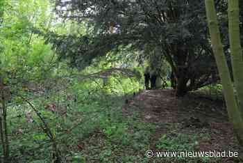 Eerste stap restauratie oudste eendenkooi van Europa is gezet