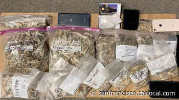 San Bruno Police: Man Arrested On Narcotics Charges After Trying To Cash Forged Check - CBS San Francisco