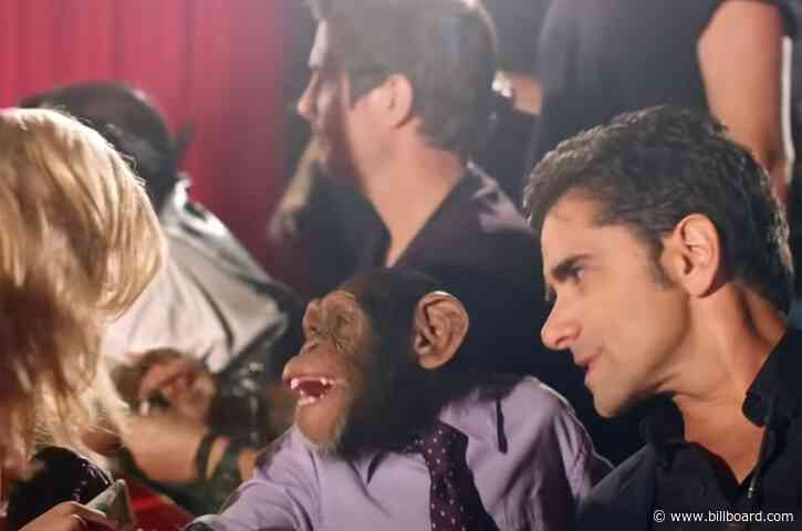 PETA Calls Out The Offspring’s ‘We Never Have Sex Anymore’ Video For ‘Egregious Exploitation’ of Chimps