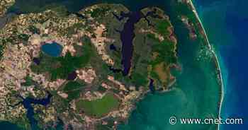 Ghost forest 'tree farts' are releasing greenhouse gases, scientists say     - CNET