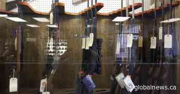 Saskatchewan-appointed chief firearms officer could be in place by September