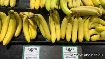 How do bananas stay Australia's number one fruit?