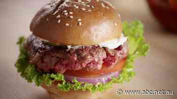 Food industry watches US moves to stop plant-based proteins using terms like 'beef' and 'meat'