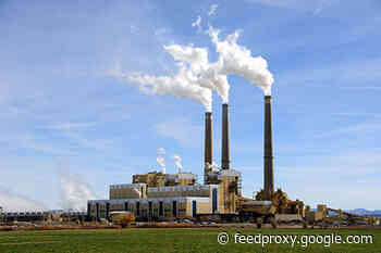 Coal India continue to fuel supply under import substitution in current fiscal