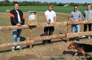 Ein „Bubenprojekt“ ganz in Lila - Mannheimer Morgen