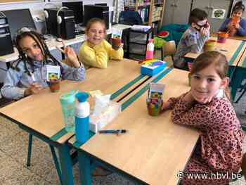 Landelijke Gilde Zichen-Zussen-Bolder deelt 280 zakjes zonne... (Riemst) - Het Belang van Limburg Mobile - Het Belang van Limburg